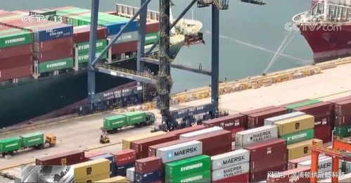 外貿訂單保衛戰 貨代企業舉步維艱，策劃創意服務破局